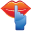 Privacy Officer