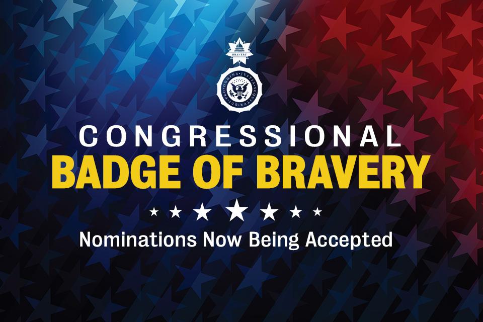 Congressional Badge of Bravery promotional image