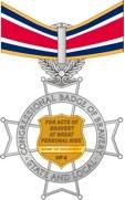 A color illustration of the reverse side of the state/local badge of bravery medal hanging on a ribbon